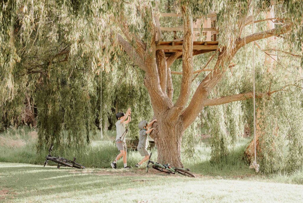 Bushland to Explore