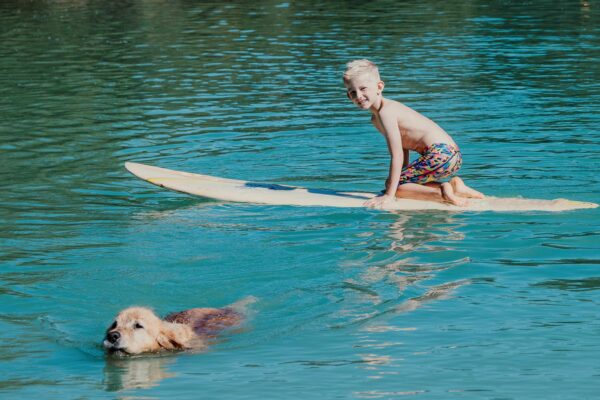 SUP & Kayak Lake
